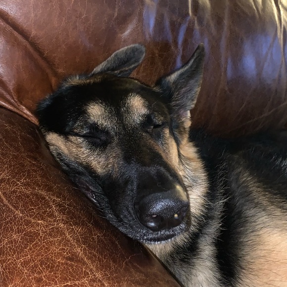 Meet your Posher, Nancy - Picture 1 of 1